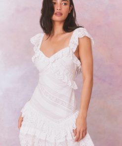 Bensley Fitted Lace Mini Dress